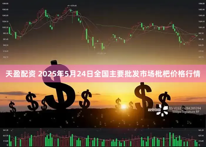天盈配资 2025年5月24日全国主要批发市场枇杷价格行情