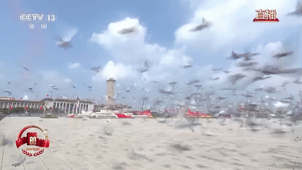 浩广配资 广场放飞8万只和平鸽 它们从哪来到哪去？