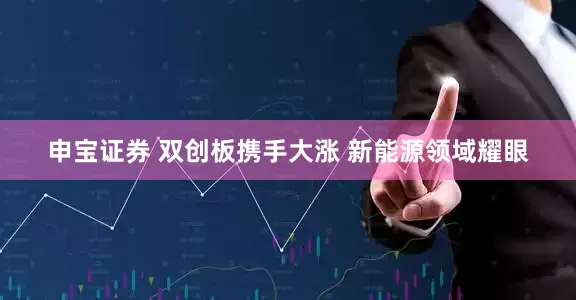 申宝证券 双创板携手大涨 新能源领域耀眼