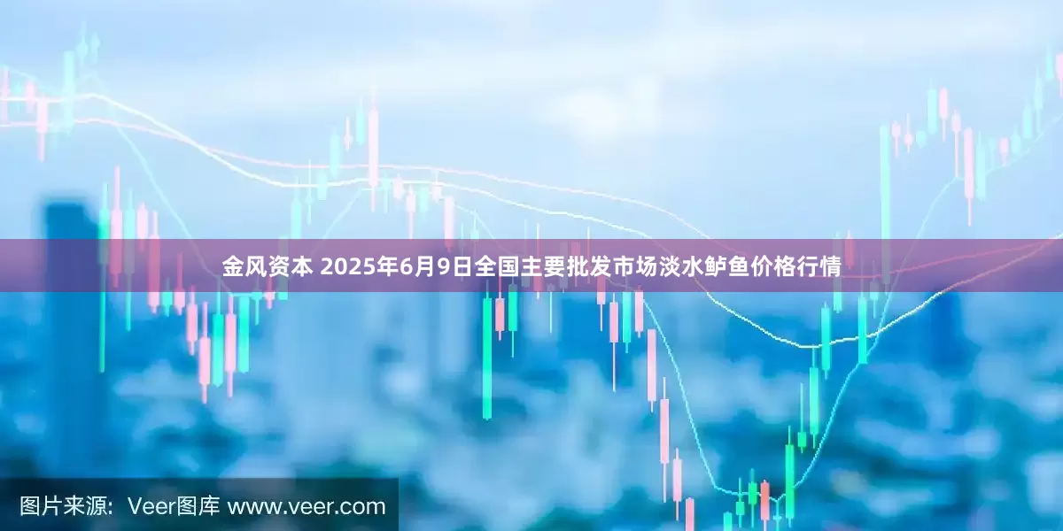 金风资本 2025年6月9日全国主要批发市场淡水鲈鱼价格行情